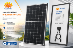 Talesun Solar Panel for residential and commercial solar systems